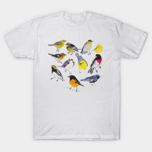 Springtime Birds T-Shirt